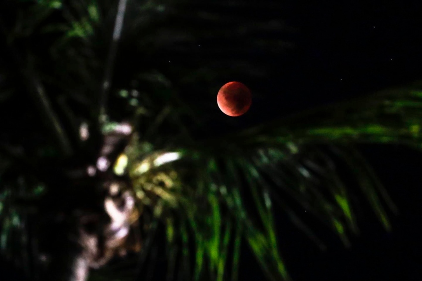 Eclipse en Brasil 