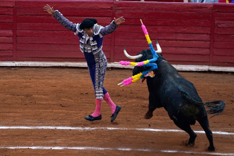 Un torero clava dos "banderillas" a un toro en la Plaza de Toros