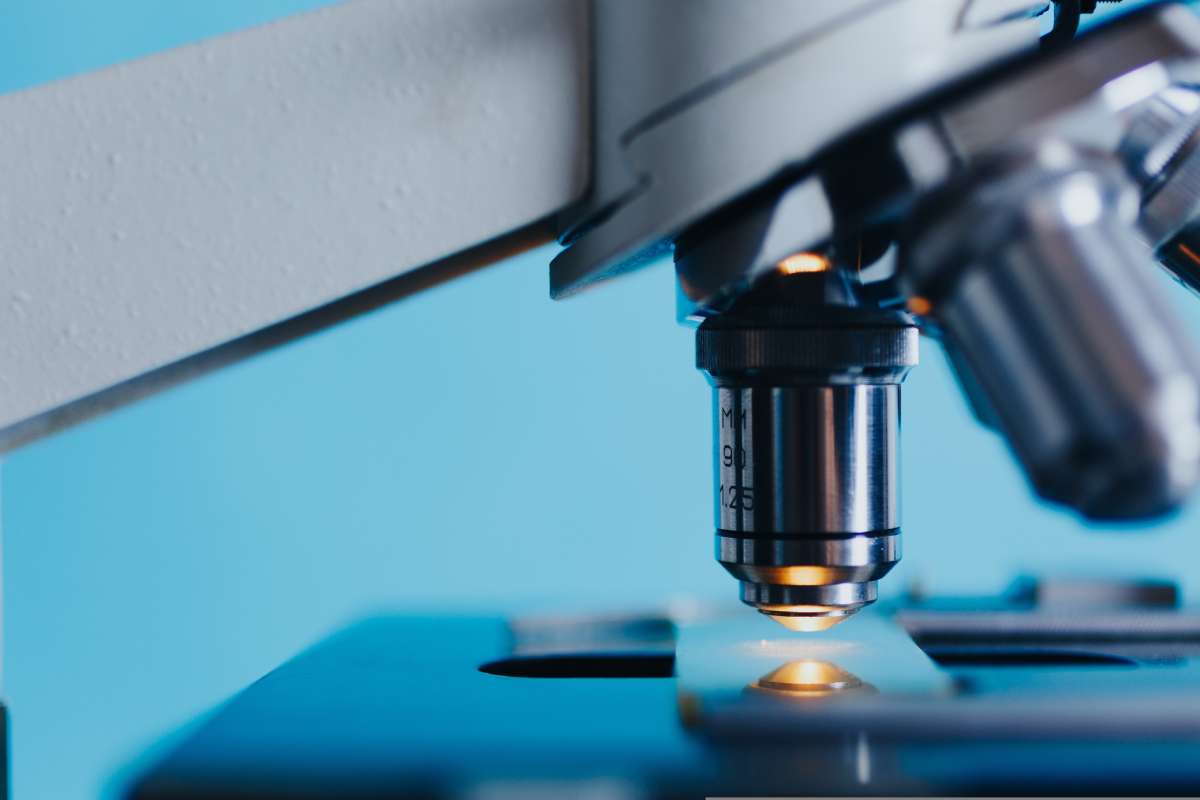 Alertan sobre tratamientos con células madre sin evidencia científica y cómo evitar ser víctima de fraudes