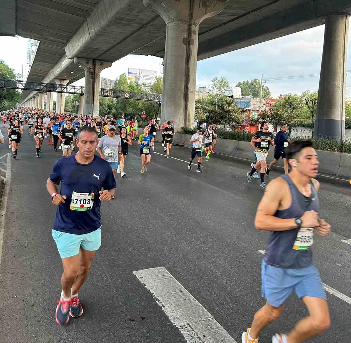 Carrera del Día del Padre