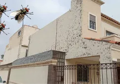 Familias en el fraccionamiento Florencia ya no saben qué hacer y temen por su salud. Familias en el fraccionamiento Florencia ya no saben qué hacer y temen por su salud.