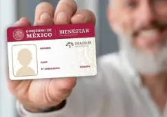 ¿Tu credencial del INAPAM sigue vigente en 2026? Descubre si necesitas cambiarla ¿Tu credencial del INAPAM sigue vigente en 2026? Descubre si necesitas cambiarla