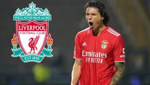 Liverpool: Darwin Núñez, a detalles de ser nuevo jugador de los Reds