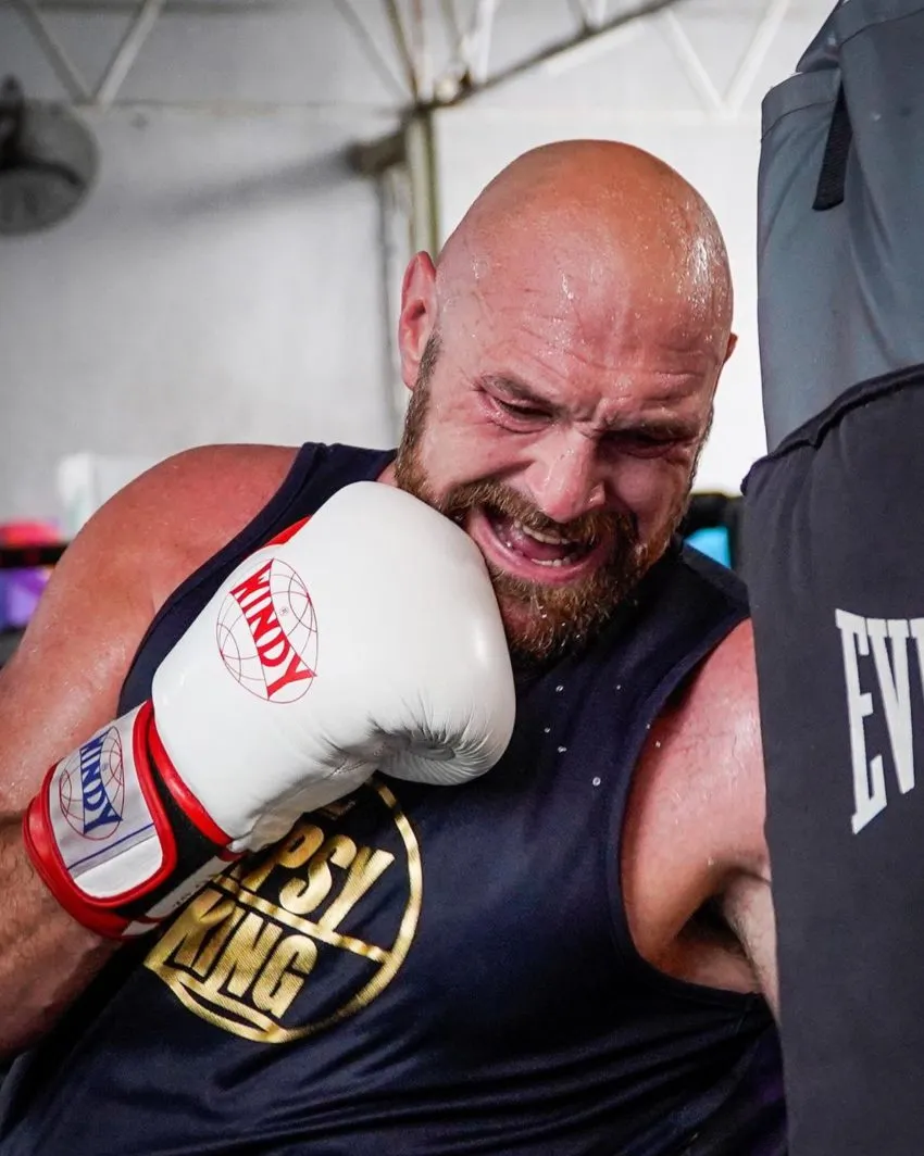 @tysonfury Fury se enfrentará a Ngannou