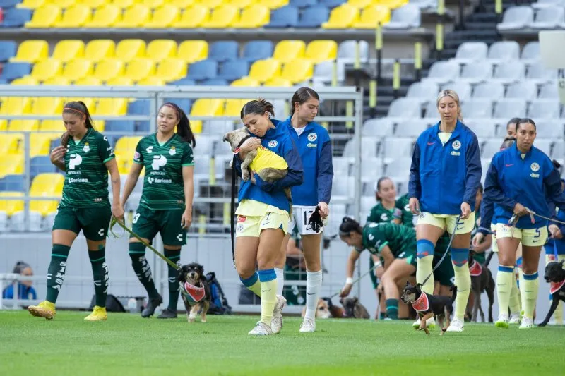 Miguel Pontón América y Santos ingresaron con perros previo al juego