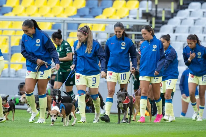 Miguel Pontón América Femenil promoviendo la adopción
