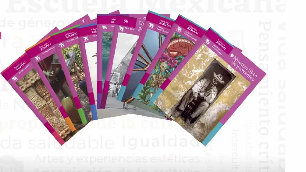 TWITTER @SEP_mx Los libros han causado polémica