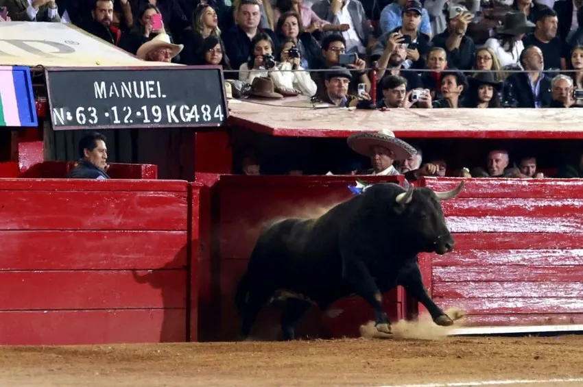 @laplazamexico Plaza México tendrá corridas de toro