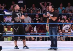 Matt y Jeff Hardy en función de TNA