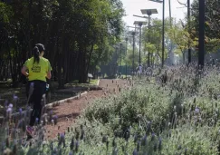 Pista del bosque de Tlalpan