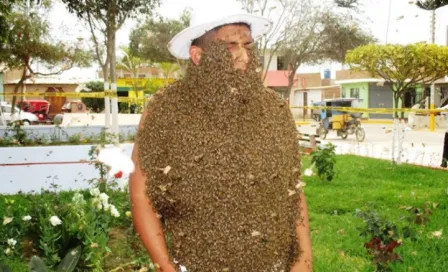 Peruano se cubre con 15 mil abejas y gana concurso