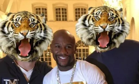 Floyd Mayweather recibe un tigre de la India como regalo