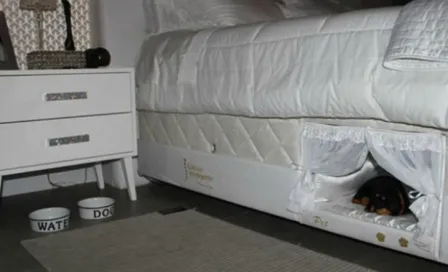 Crean cama con lugar especial para mascotas