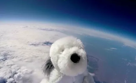  Perro de peluche llega a la estratosfera