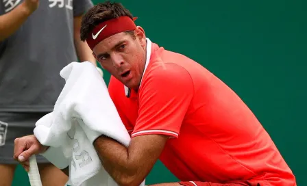 Juan Martín del Potro, en duda para el Abierto Mexicano 