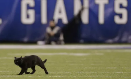 Cowboys vs Giants, interrumpido por un gato negro