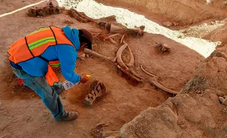 Piden que zona de aeropuerto de San Lucía sea patrimonio cultural tras hallazgos de mamuts