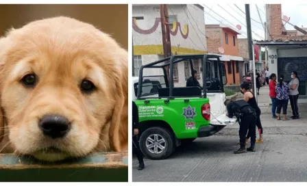 Veterinaria es acusada de operar como "carnicería clandestina" en San Luis Potosí