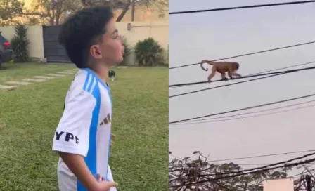 Niño argentino genera polémica por video donde ve un mono y lo llama Vinicius