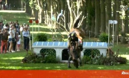 Jinete portugués cae de su caballo y se rompe la clavícula en París 2024