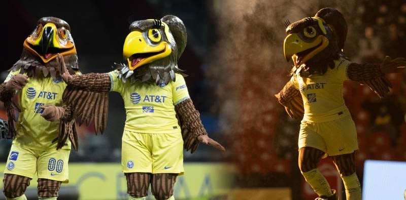 América: Presentó a su nueva mascota femenina