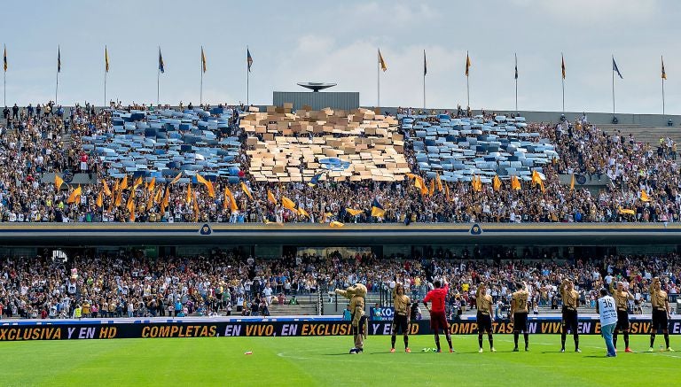 Mosaico de los Pumas en las gradas de CU