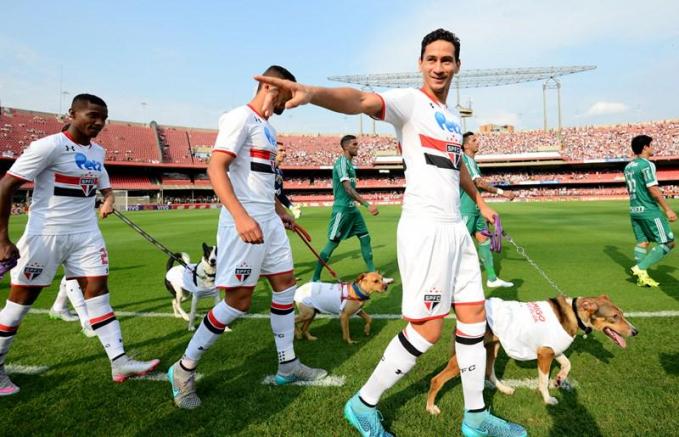 Jugadores de Sao Paulo entran al campo con perros