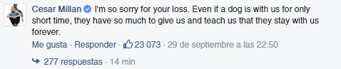 Mensaje de César Millán para The Rock