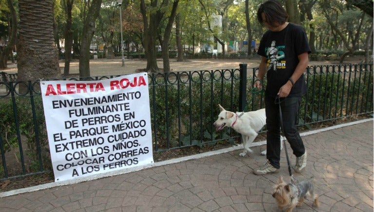 Dueño pasea a sus perros en un parque de la Condesa