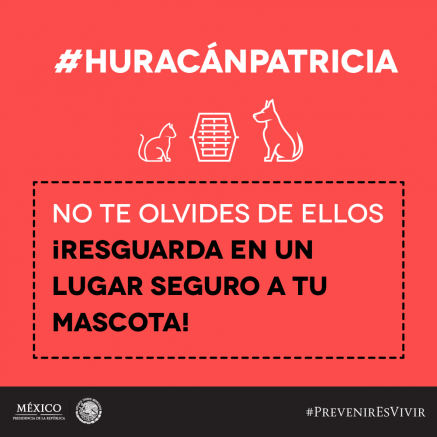 Recomendaciones De Seguridad Durante El Huracán Patricia