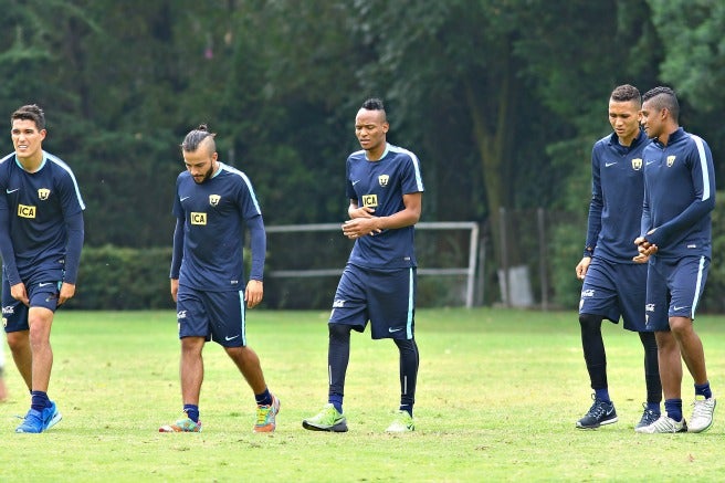 Los refuerzos durante el entrenamiento de los Pumas