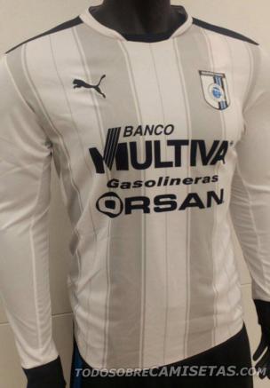 En blanco y gris la camiseta de Gallos