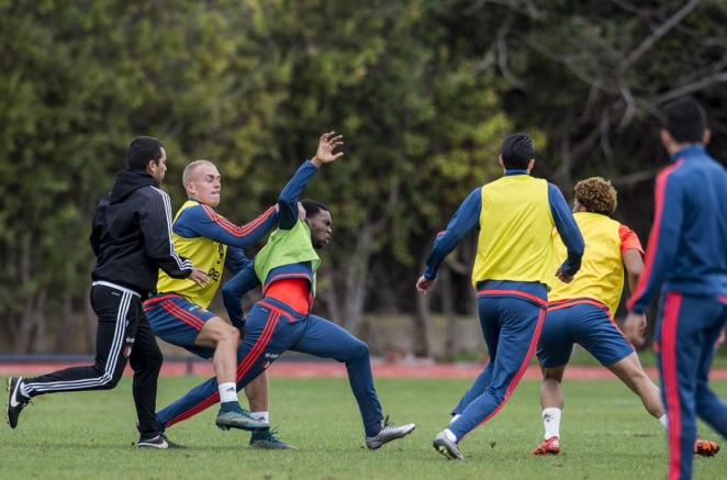 Los jugadores del Feyenoord intentan detener a sus compañeros durante la pelea