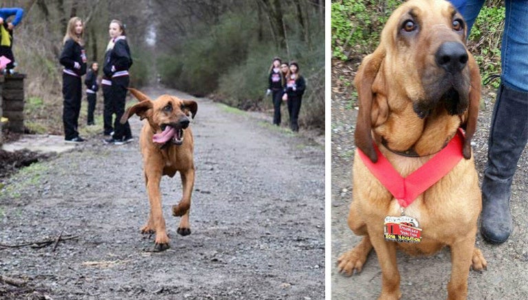 Así premiaron a Ludivine, la carismática mascota del maratón