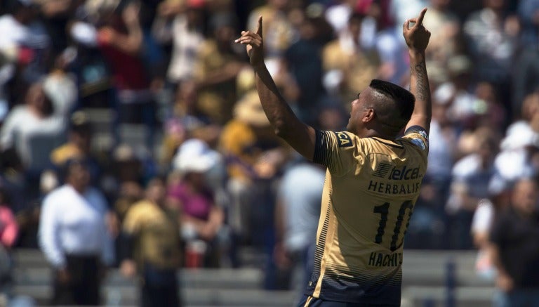 Daniel Ludueña festeja un gol con Pumas