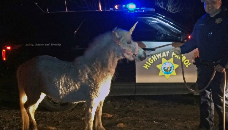 El Pony al momento de ser detenido