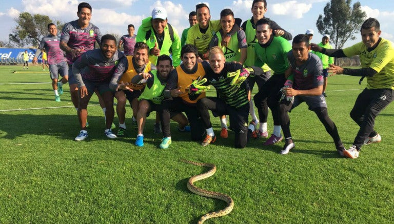 Los futbolistas del León se divierten junto a la serpiente