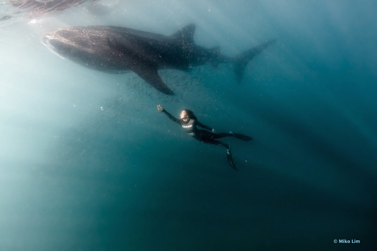 Navarro bucea junto a una ballena