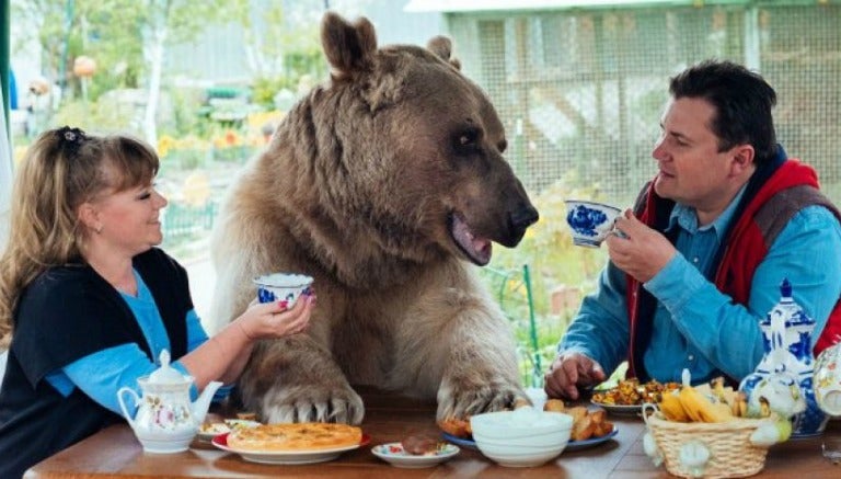 La pareja comparte la mesa con el mamífero de 140 kg