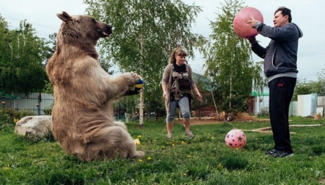 Oso jugando a la pelota con sus dueños