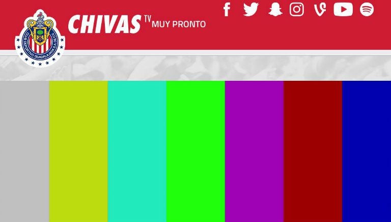 Así luce el canal oficial del Rebaño