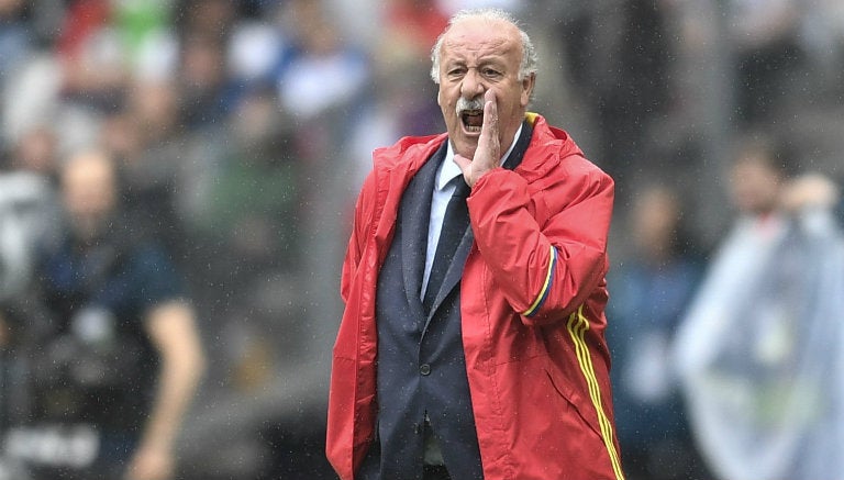 Vicente del Bosque da indicaciones en partido de España