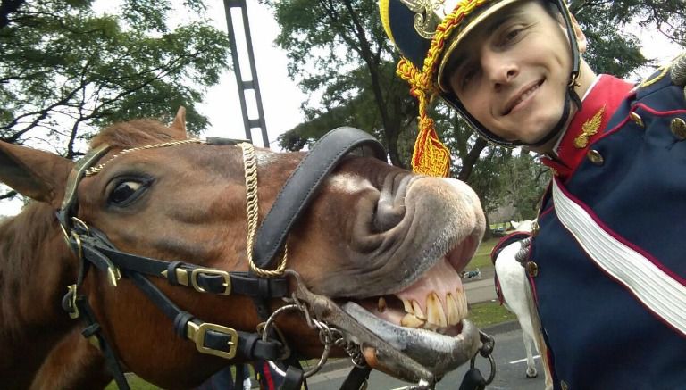 El caballo sonríe al momento de que el granadero argentino toma una selfie