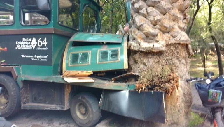 El tren se impactó con una palmera