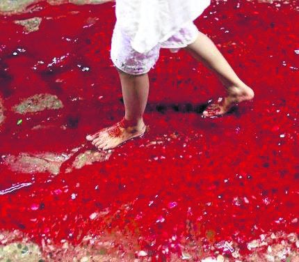 Ciudad de Dacca se tiñe de sangre en Festividad del sacrificio 