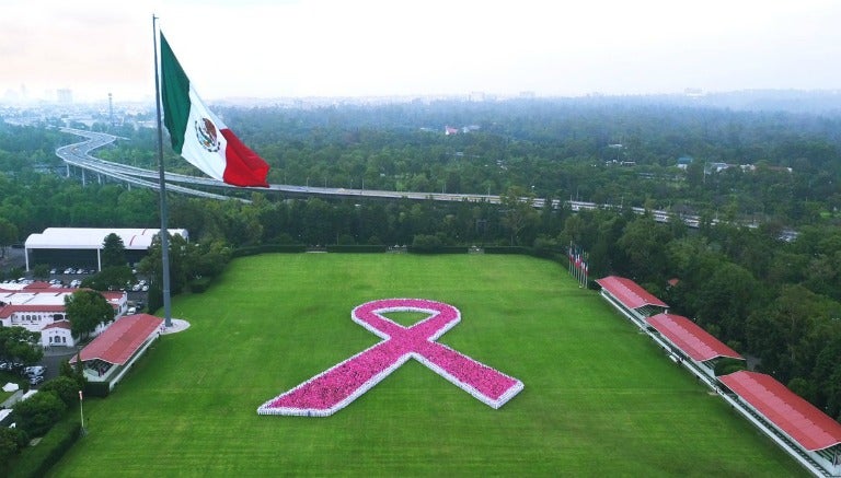 Momento en que se forma el lazo rosa