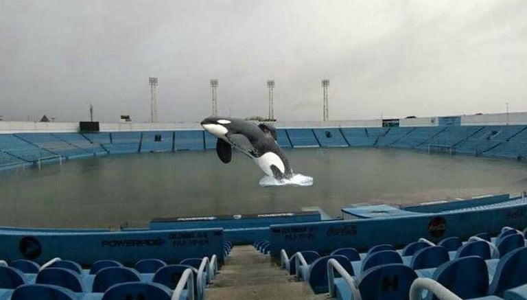 Un meme con Keiko en saltando en la cancha del estadio Tamaulipas