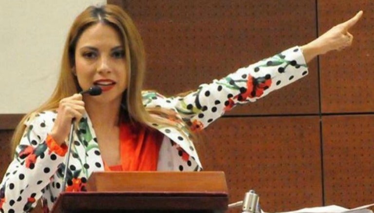 Iris Aguirre Borrego, diputada mexicana, da un discurso