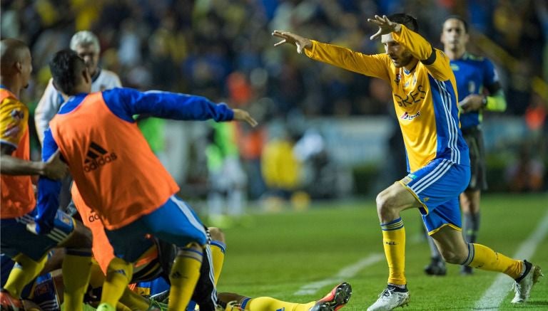 Gignac festeja un gol con Tigres junto a sus compañeros