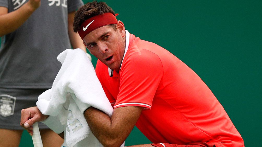 Juan Martín del Potro durante un partido 